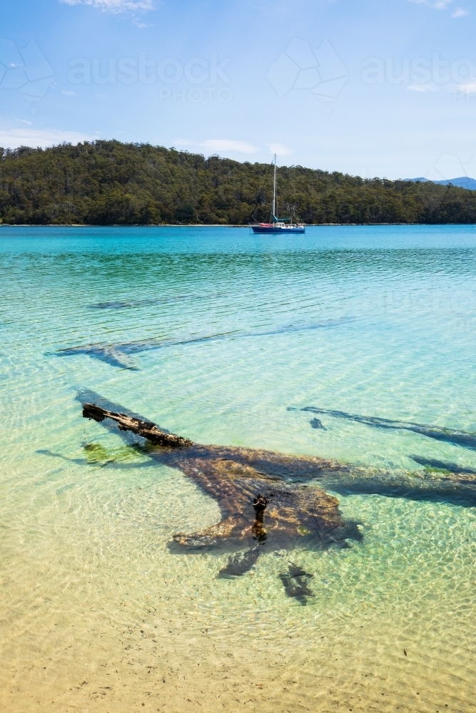 Cockle Creek - Australian Stock Image