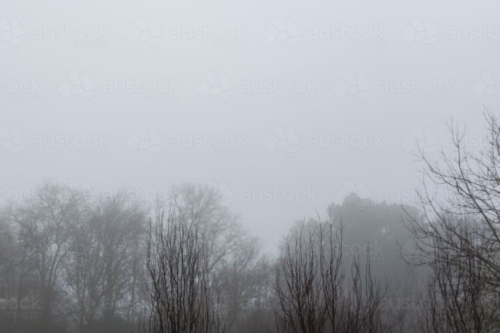 cold, grey winter scene - Australian Stock Image