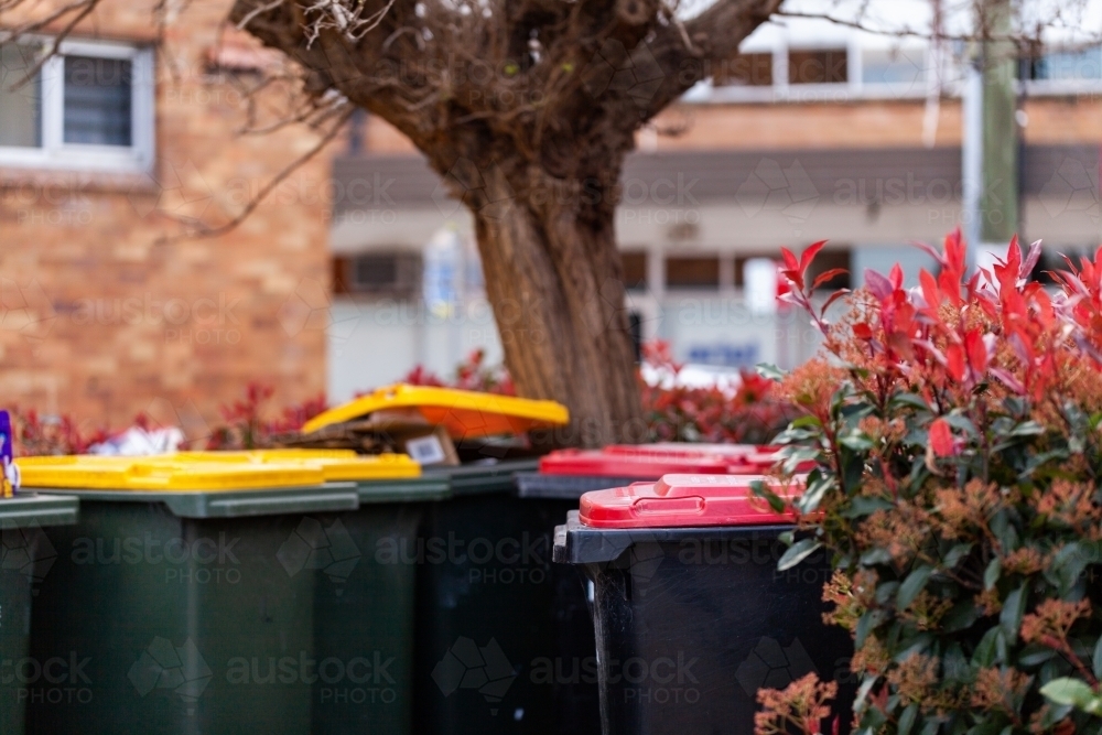 collection of rubbish and recycling bins behind shops on street - Australian Stock Image