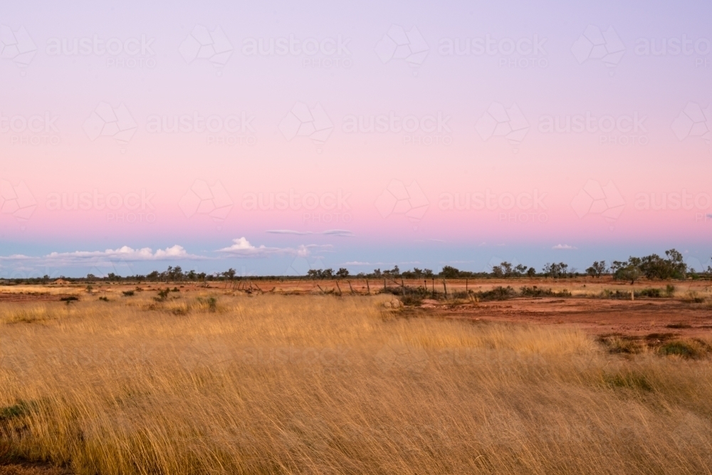Colourful early evening landscape in desert country with straw coloured grasses - Australian Stock Image