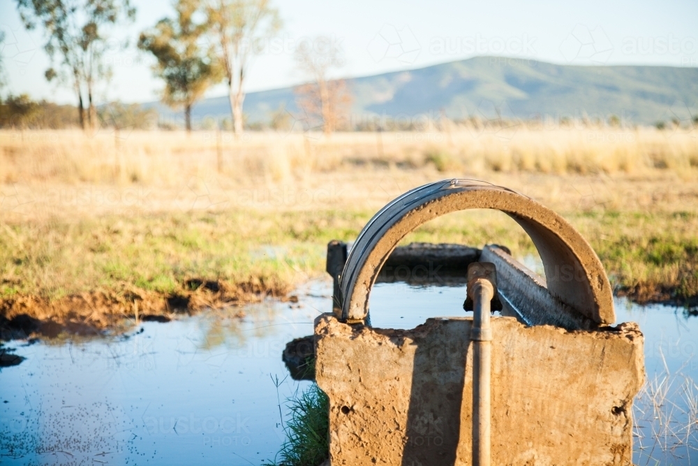 Concrete bore water trough on farm with puddle around it - Australian Stock Image