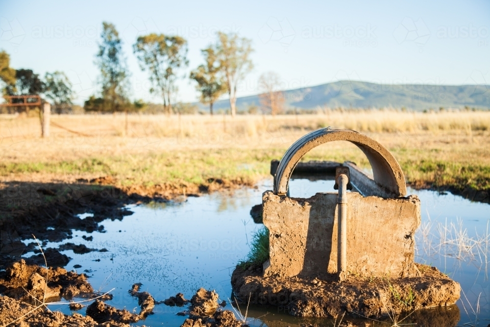 Concrete bore water trough on farm with puddle around it - Australian Stock Image