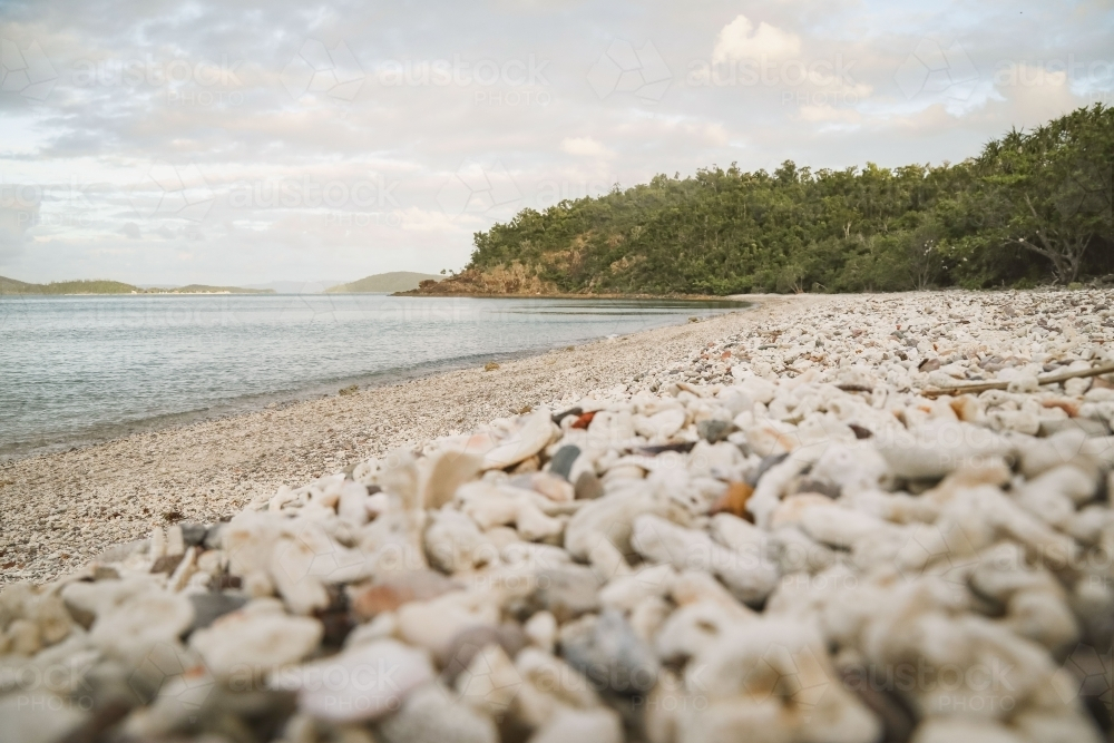 Coral Beach in the Whitsundays - Australian Stock Image