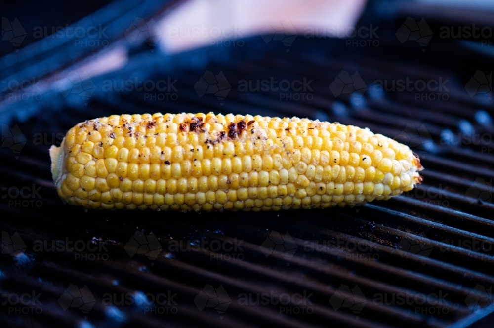 Corn on the Cobb on a BBQ - Australian Stock Image