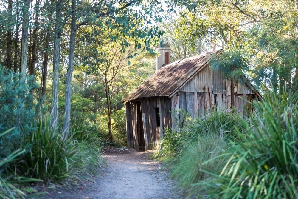 Corrugated iron shed down a dirt path in the bush - Australian Stock Image