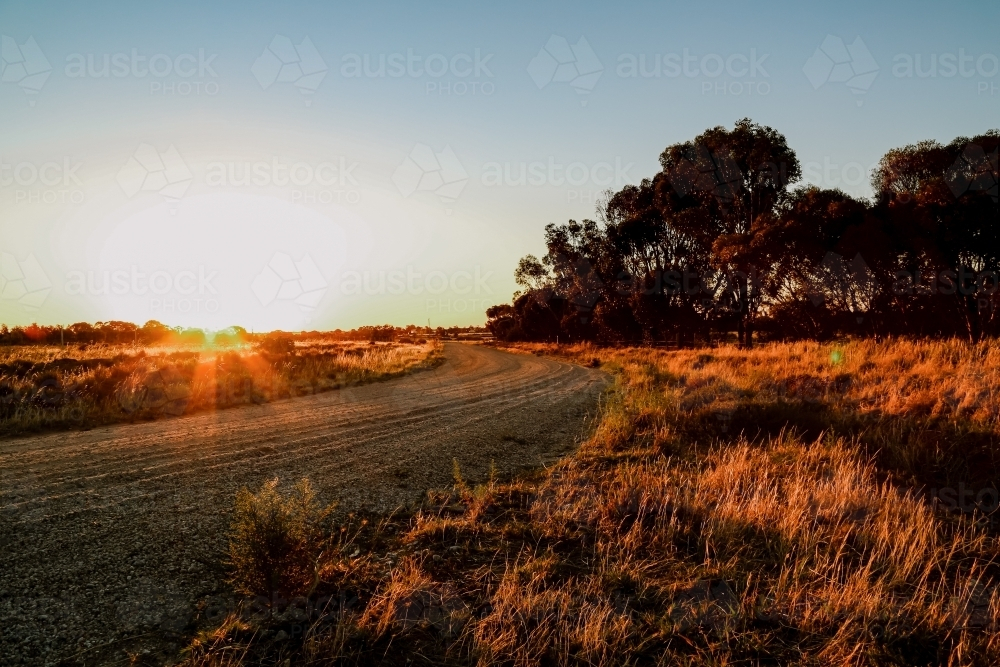 Country road in Central Victoria at sunset - Australian Stock Image