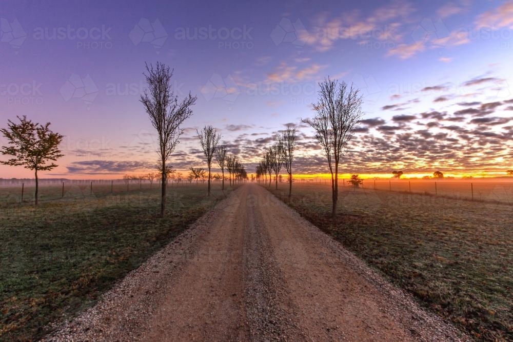 Country tree lined dirt road - Australian Stock Image