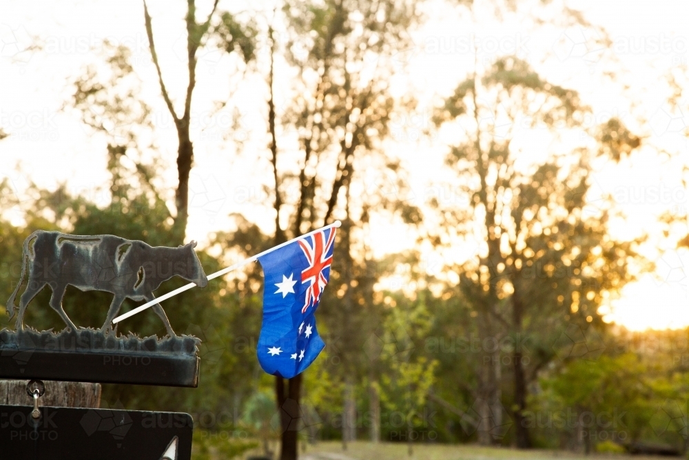 Cow sign beside driveway holding australian flag - Australian Stock Image