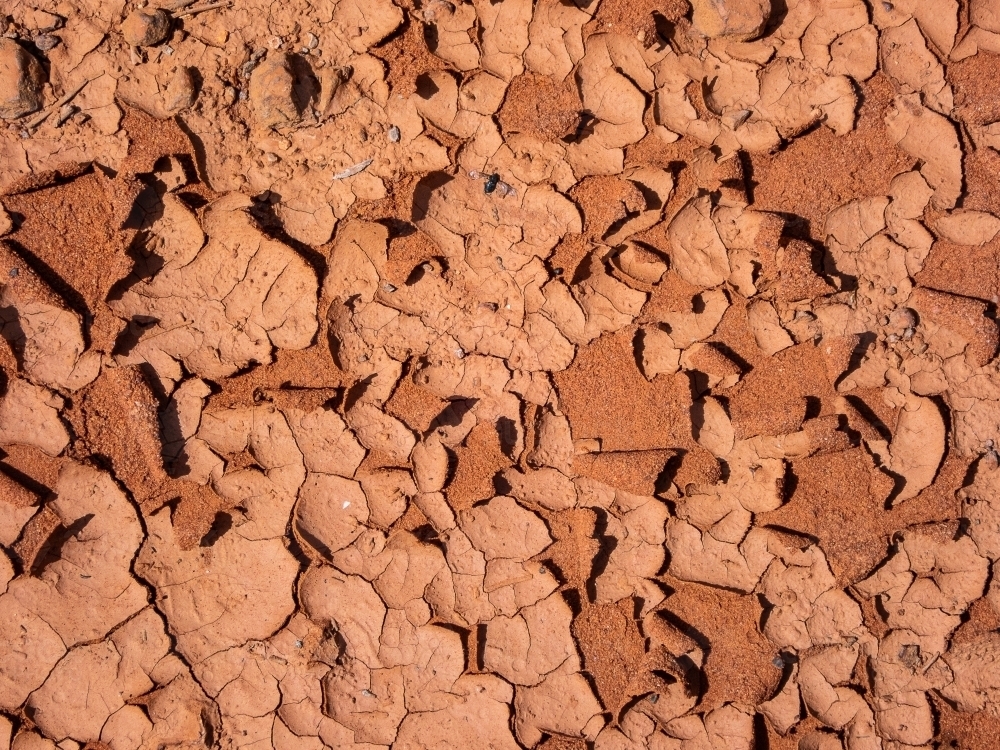 cracked and dried earth - Australian Stock Image