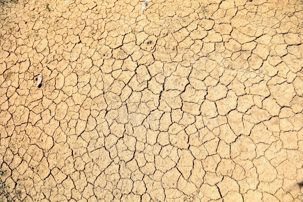 Cracked earth, dry dirt during drought - Australian Stock Image