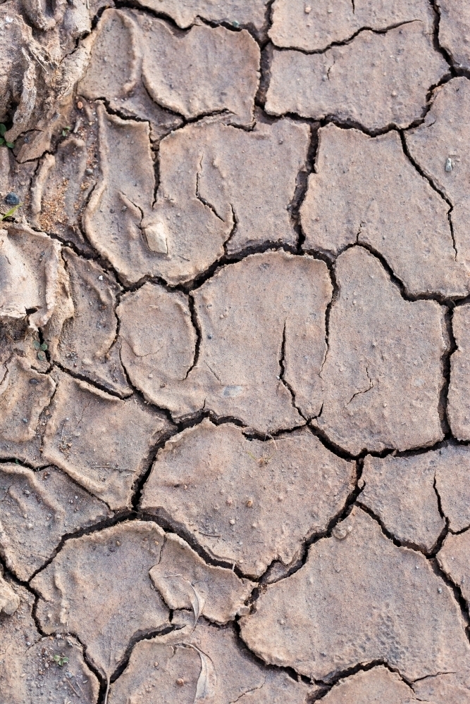 Cracks in mud at the side of a road overhead texture - Australian Stock Image