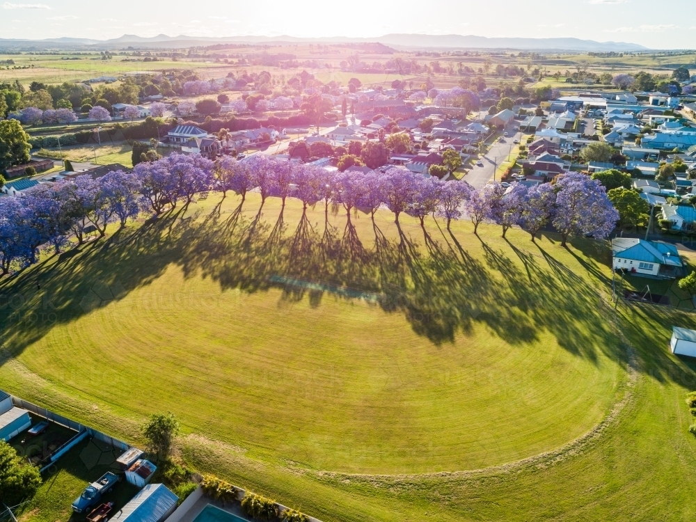 Cricket field surrounded by purple jacaranda trees in flower - Australian Stock Image