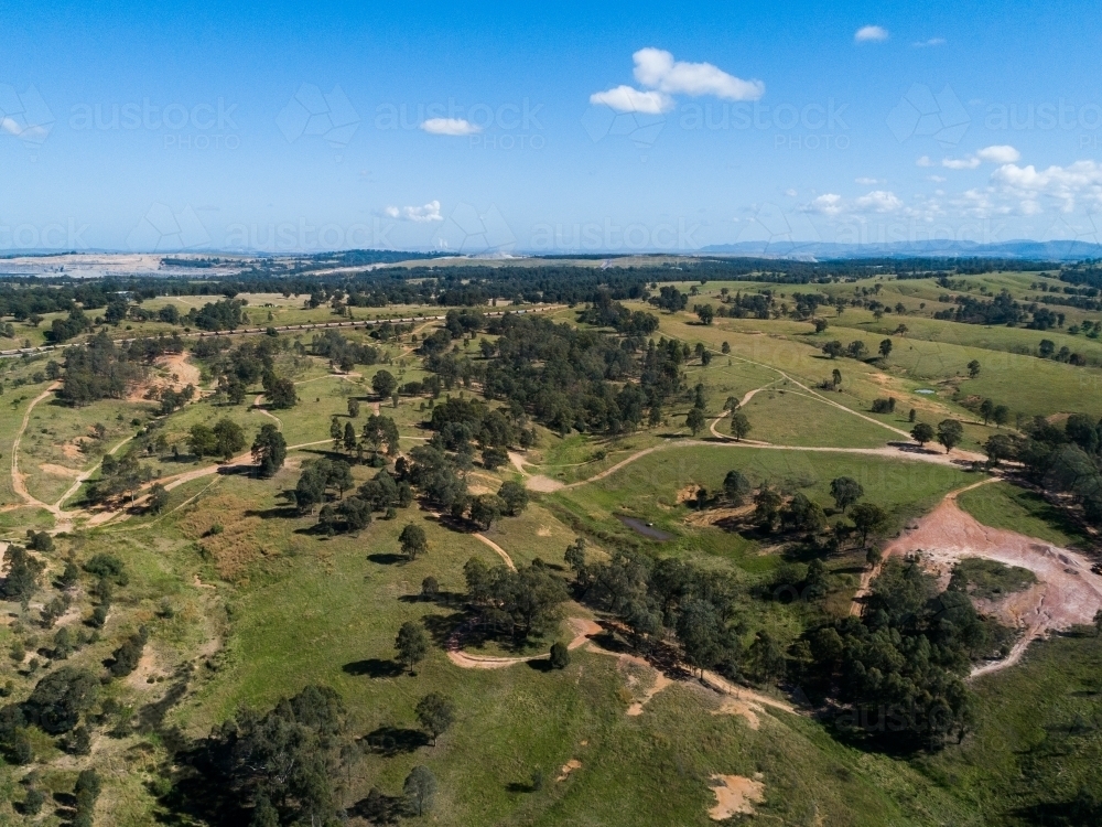 Criss crossing 4WD car tracks through paddock - Australian Stock Image