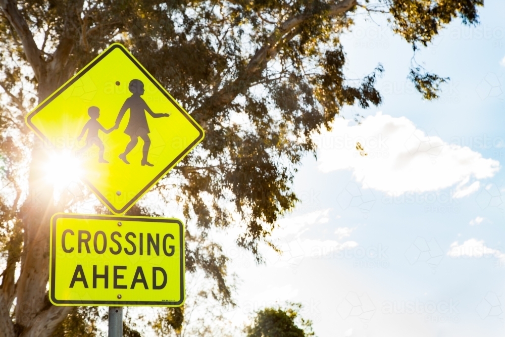 Crossing ahead sign in school zone with gum trees and sun flare - Australian Stock Image