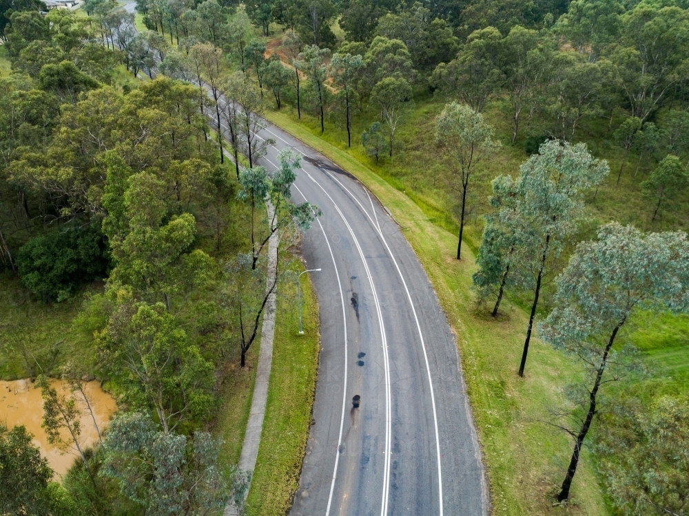 Curving road with gum trees lining it and footpath beside - Australian Stock Image