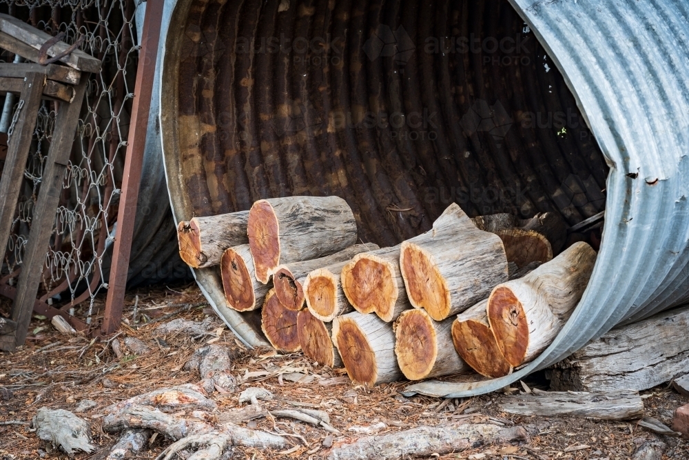 Cut wooden logs stacked in an old galvanized iron water tank - Australian Stock Image