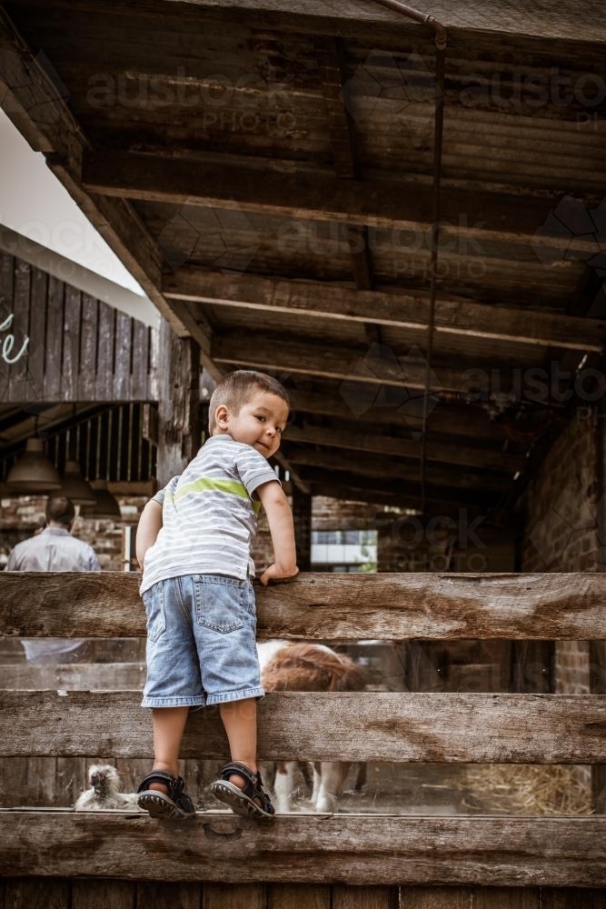 Cute 2 year old mixed race boy plays on a fence in an animal stable - Australian Stock Image