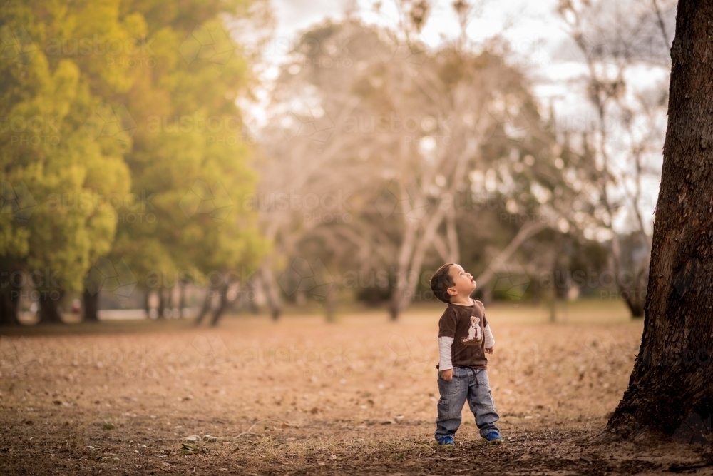 Cute mixed race boy playing in a park outside among the trees - Australian Stock Image