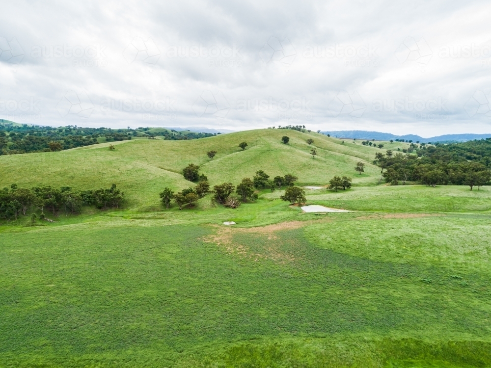 Dam in green paddock under overcast sky - Australian Stock Image