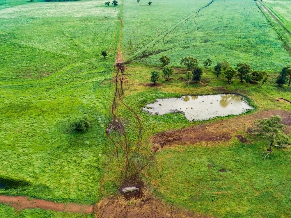 Dam in paddock and cattle tracks to waterhole - Australian Stock Image