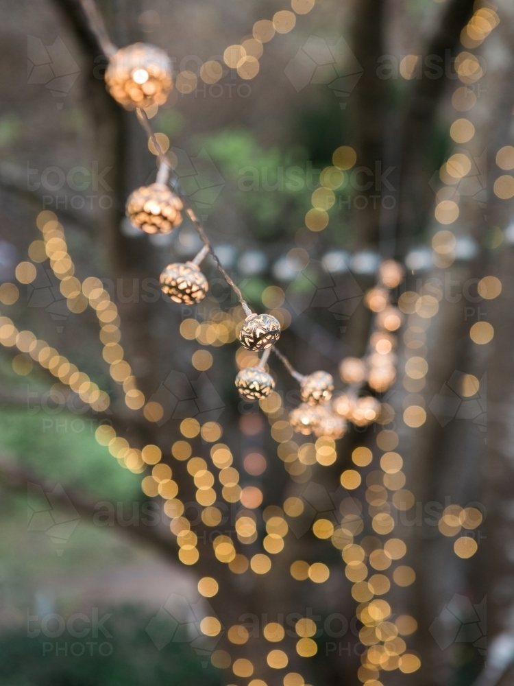 Decorative twinkle lights hanging off trees - Australian Stock Image