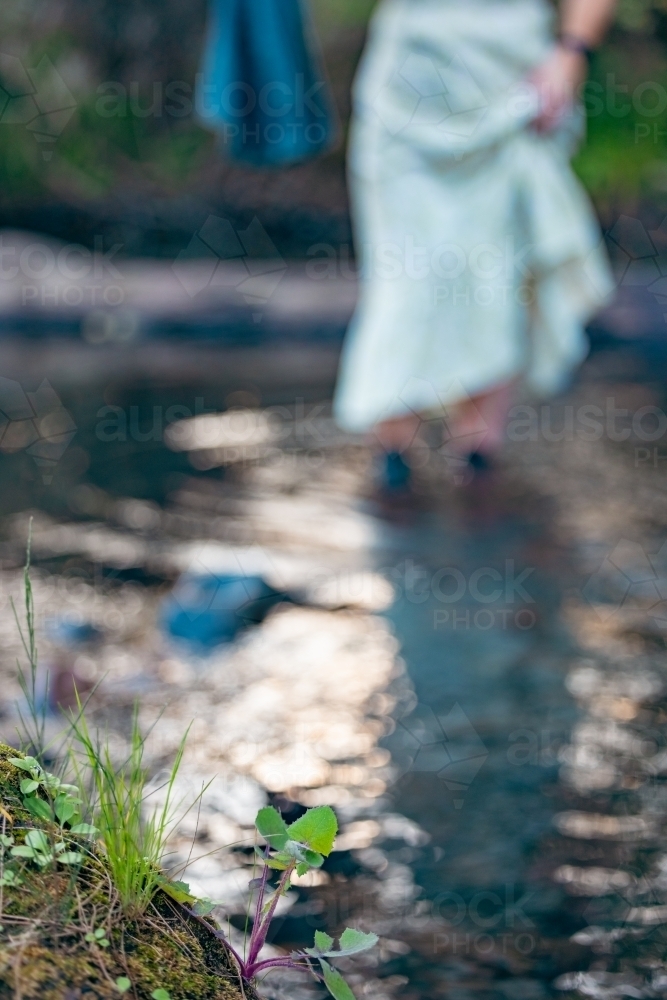 Delicate weeds on river bed with woman in dress walking through water in the background - Australian Stock Image