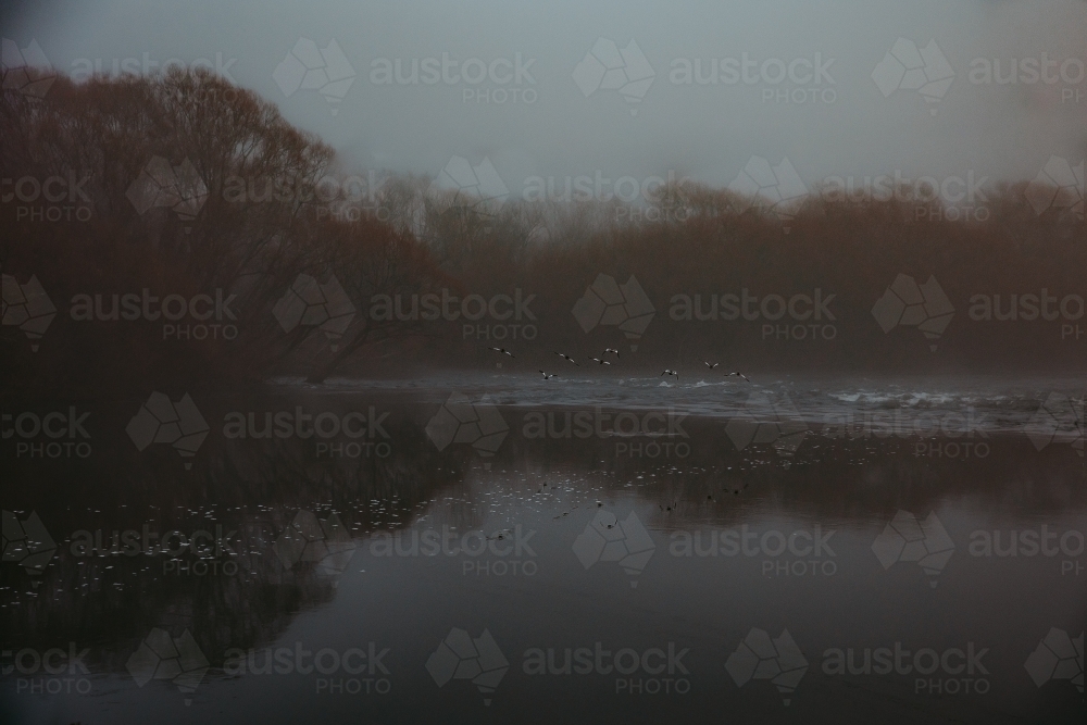 Dim photo of body of water with birds flying over - Australian Stock Image