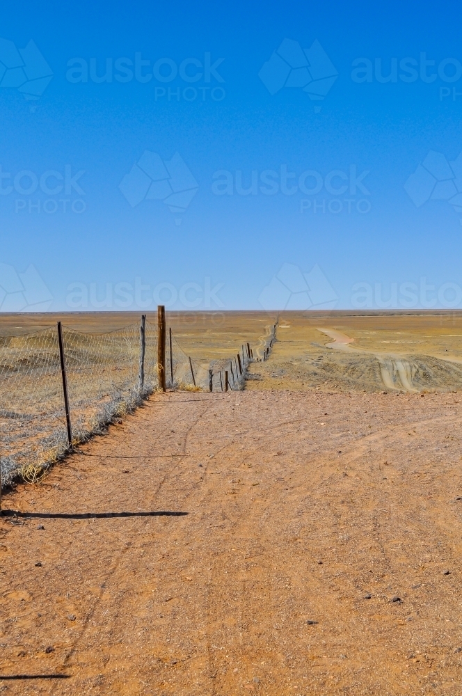 Dingo Fence - Australian Stock Image