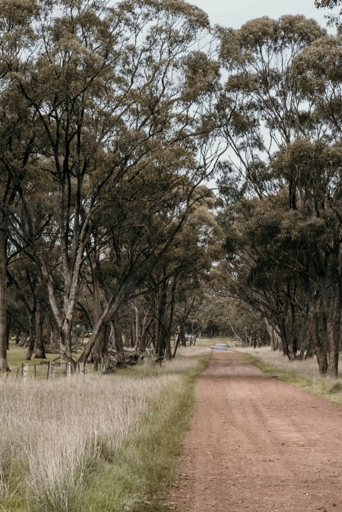 Dirt road - Australian Stock Image