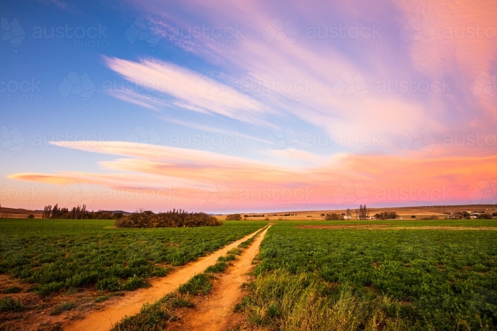 Dirt road through a farm field leading to dramatic sky - Australian Stock Image