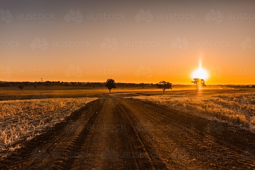 Dirt road through rural plains at sunset - Australian Stock Image