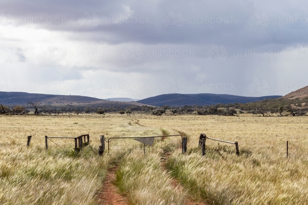 dirt track going through an old gate on grassy plains - Australian Stock Image