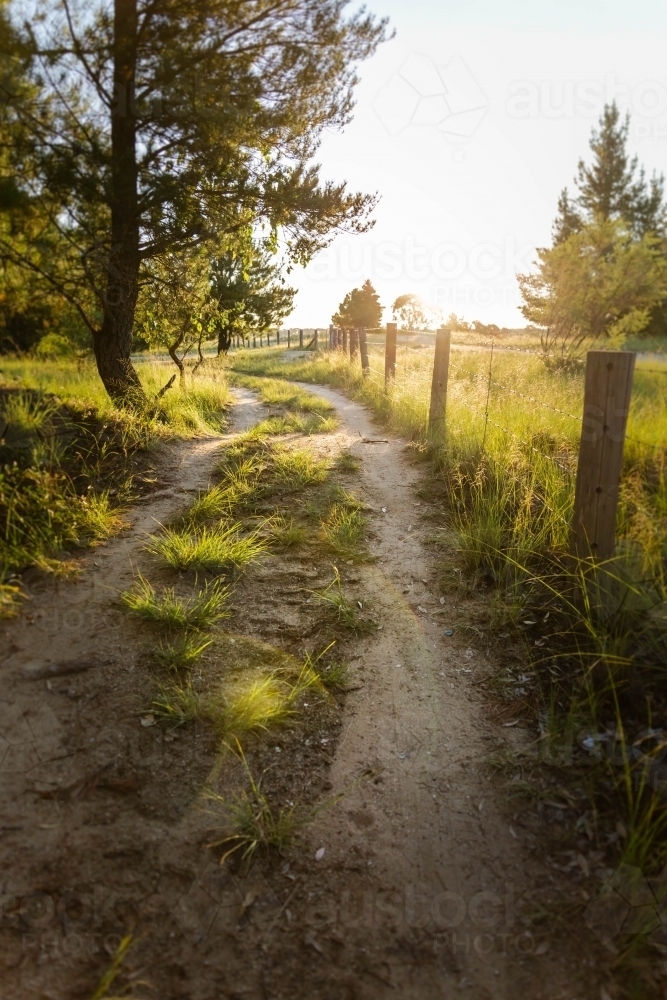 Dirt track through trees with fence - Australian Stock Image