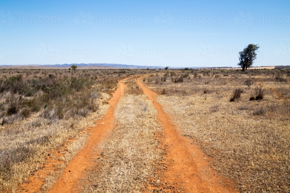 dirt tracks through dry plains - Australian Stock Image