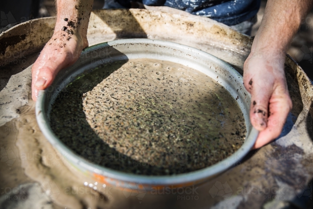 Dirty hands holding fossicking sieve in muddy water - Australian Stock Image