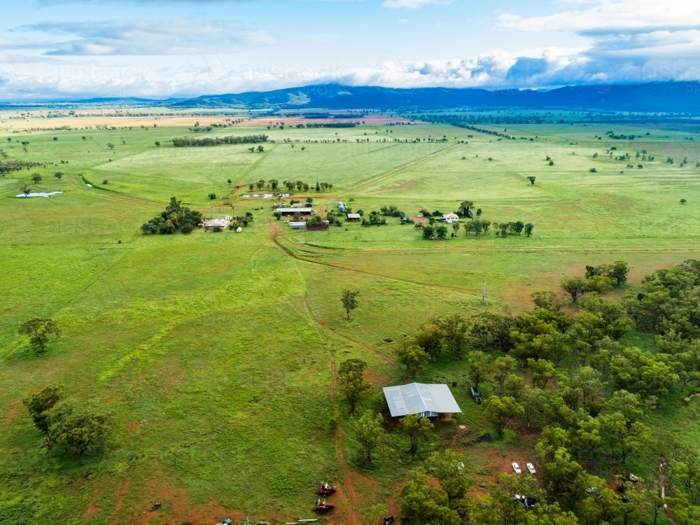 Distant homestead and other farm buildings in green home paddock - Australian Stock Image