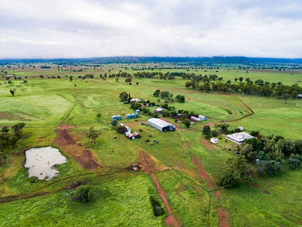 Distant homestead and other farm buildings in green home paddock - Australian Stock Image