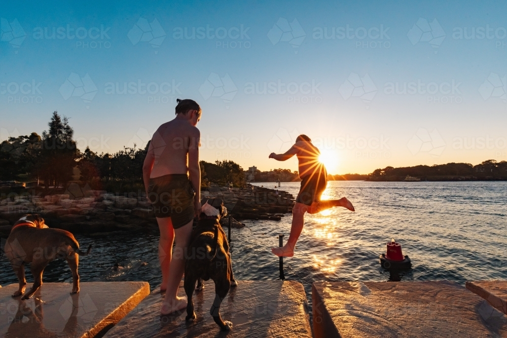 Dog watching teenage boy jumping from ledge into water in bright setting sun - Australian Stock Image