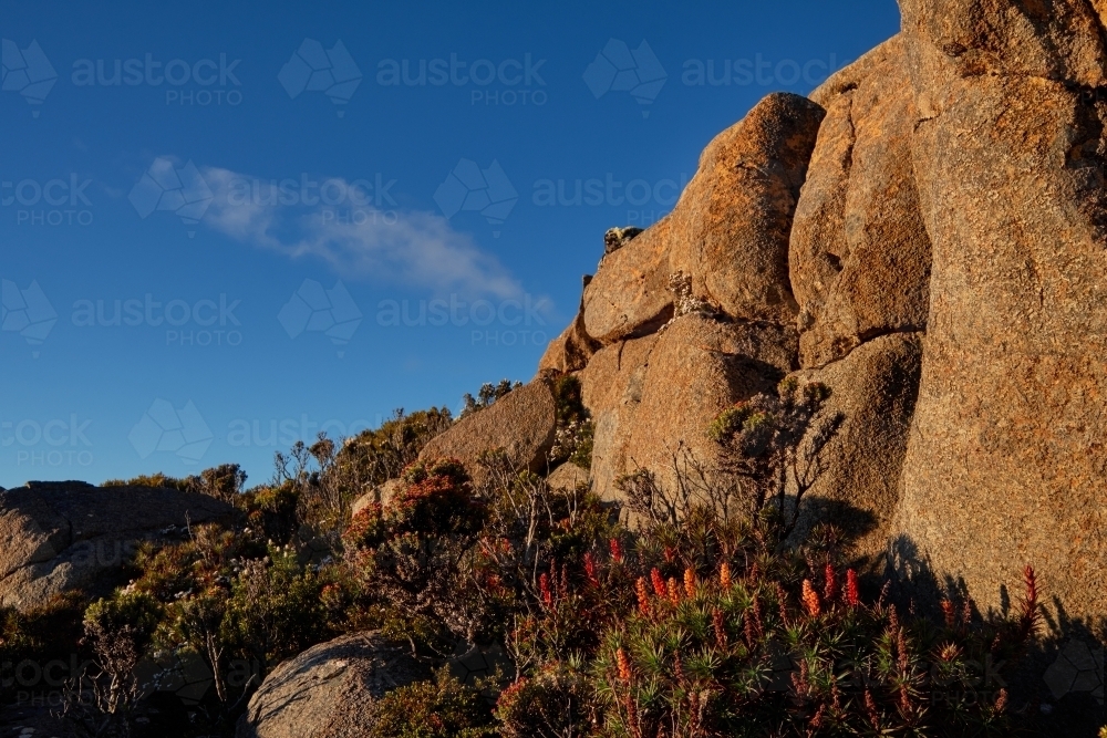 Dolerite Rocks on Summit of Mount Wellington, Tasmania - Australian Stock Image