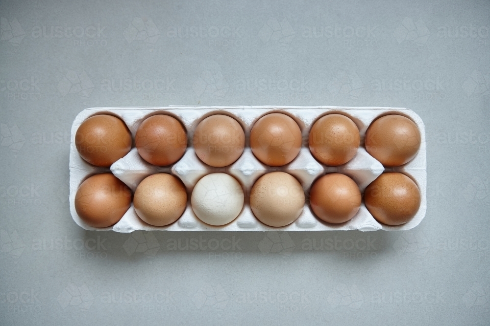 Dozen eggs in paper carton - Australian Stock Image