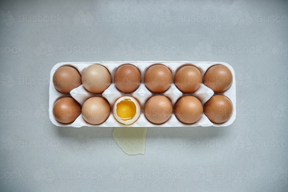 Dozen eggs in paper carton - Australian Stock Image