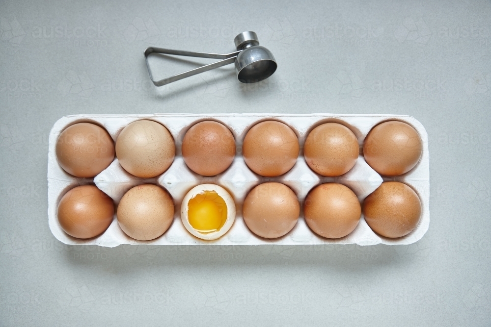 Dozen eggs in paper carton - Australian Stock Image