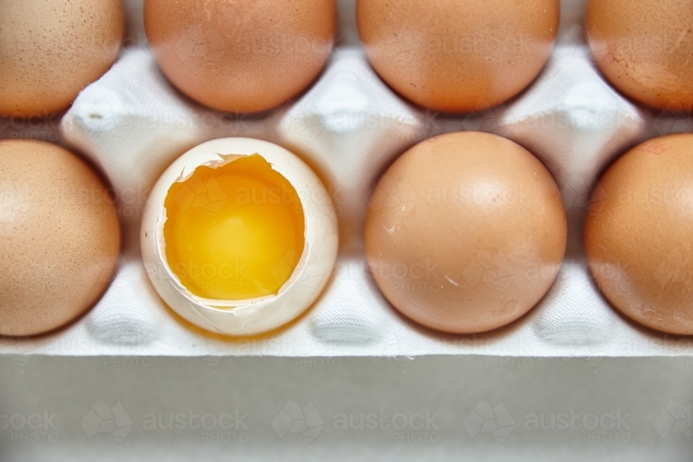 Dozen eggs in paper carton - Australian Stock Image