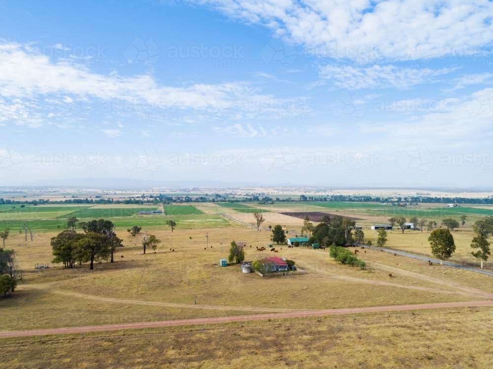 Driveway and farm houses in farm paddock landscape - Australian Stock Image