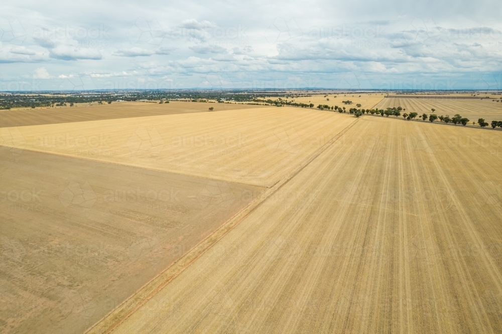 Dry brown paddocks leading off into the distance in the Mallee. - Australian Stock Image