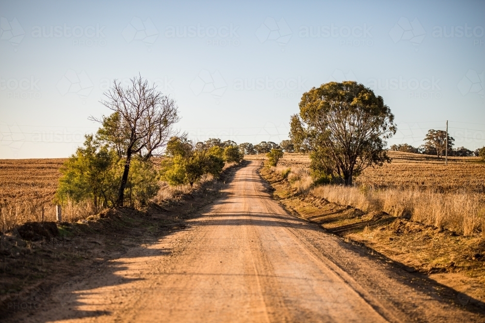 Dry dirt road in country with paddocks and trees and blue sky - Australian Stock Image