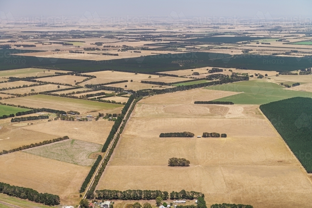 Dry farmland around Meredith, Victoria - Australian Stock Image