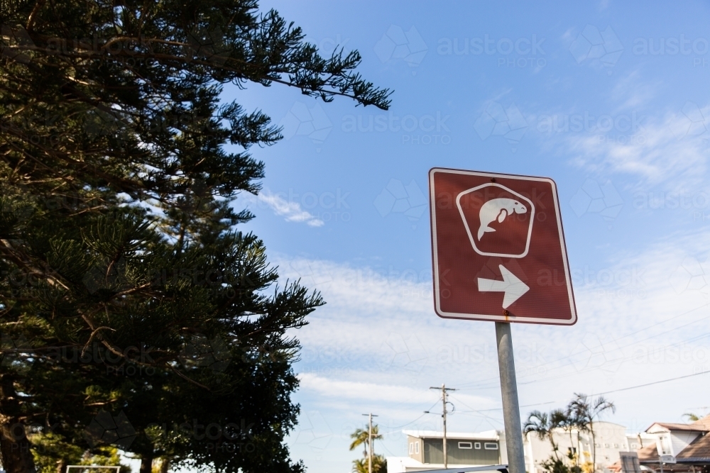 dugong street sign - Australian Stock Image