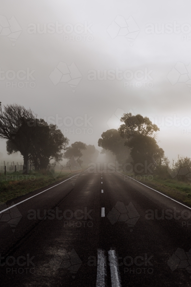 Early Morning Fog on the road - Australian Stock Image