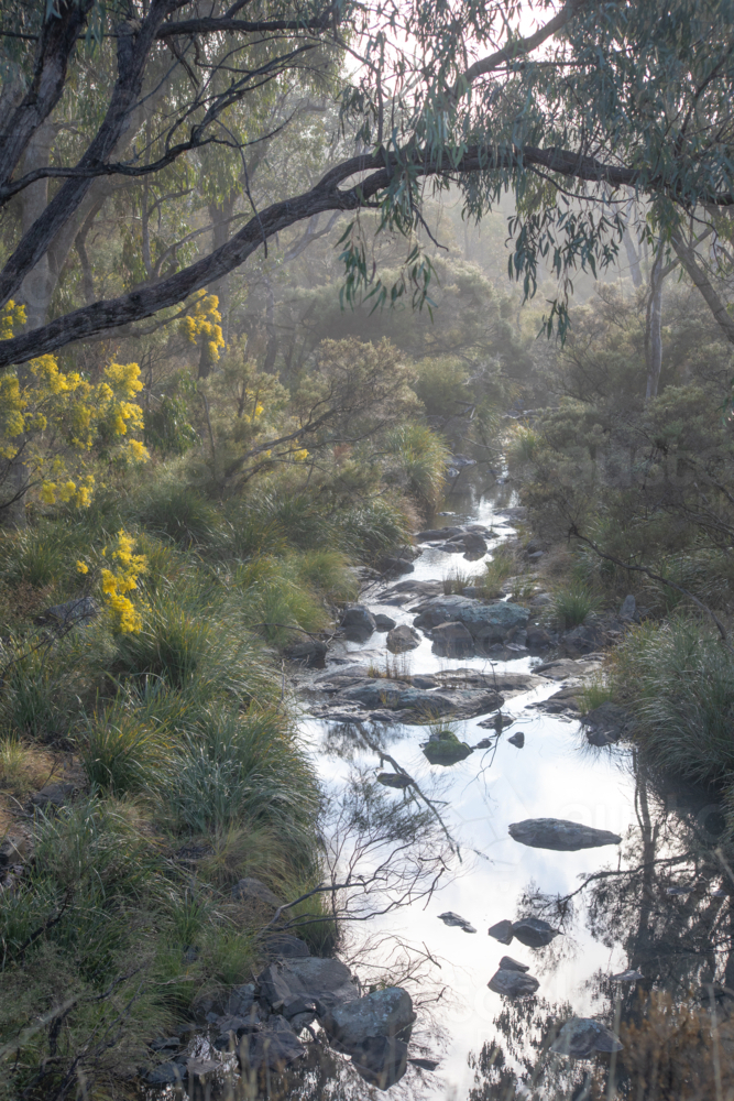 Early morning over a country creek - Australian Stock Image